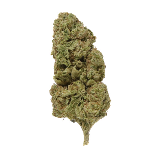 falcon 9 strain