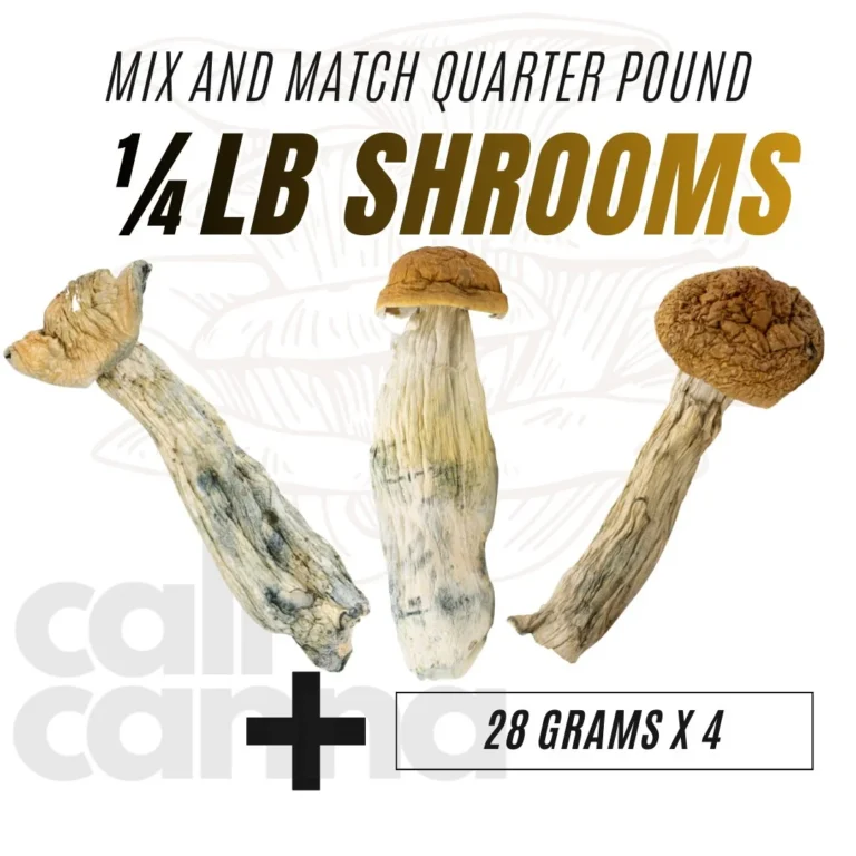 QP-shrooms