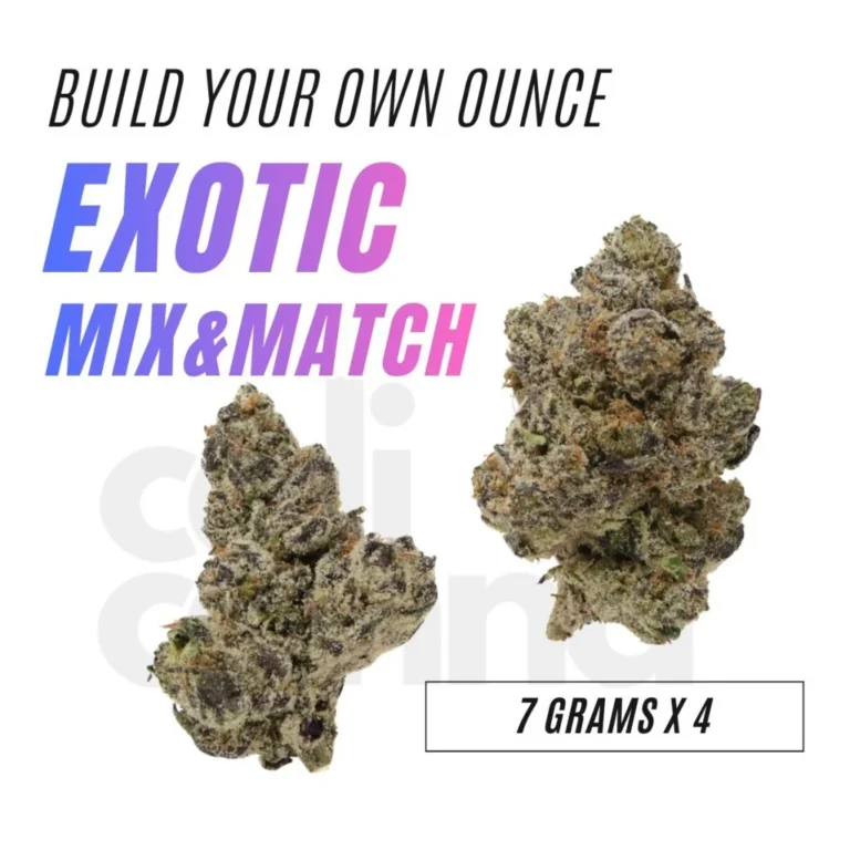 BYO-EXOTIC-1024x1024