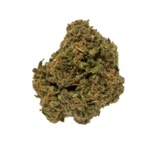 black cherry gelato strain