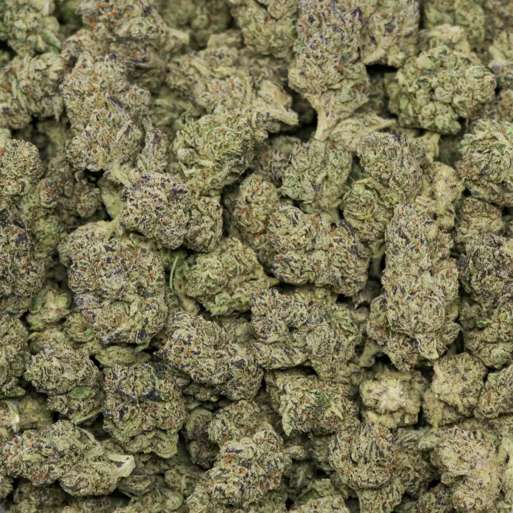Royal Gas - Image 2