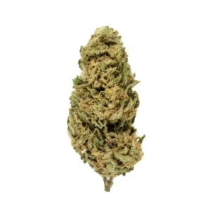 violet fog strain